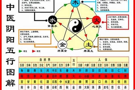 1984年生肖五行|84年属鼠什么五行 84年属鼠的五行是属什么